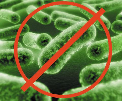 Уничтожение болезнетворных микроорганизмов в Ставрополе (дезинфекция)